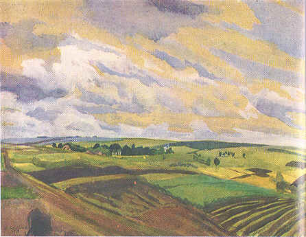 Landscape. Village Neskuchnoye