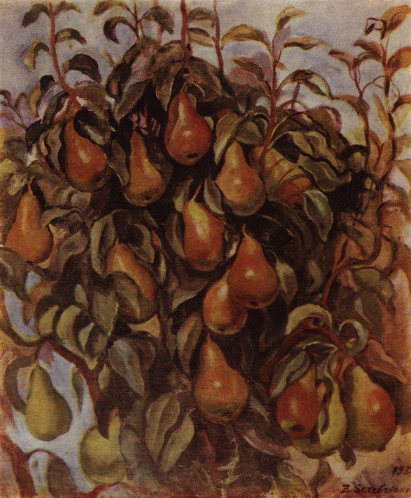 Pears on the branches